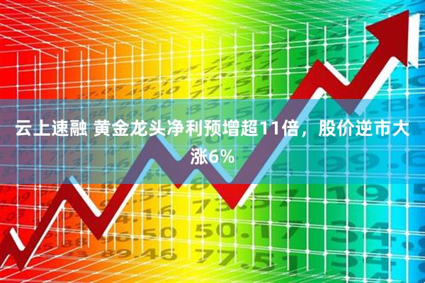 云上速融 黄金龙头净利预增超11倍，股价逆市大涨6%